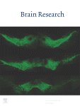 Brain Research 2010