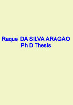 Raquel da Silva Aragão Thesis
