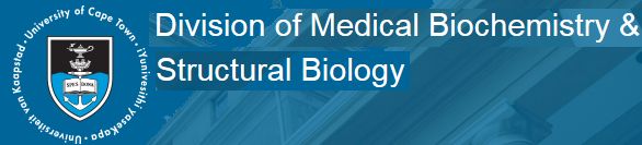 Division of Medical Biochemistry & Structural Biology